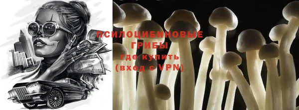 эйфоретик Баксан