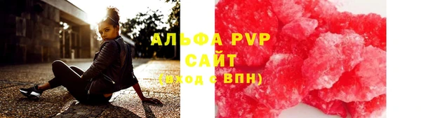 эйфоретик Баксан