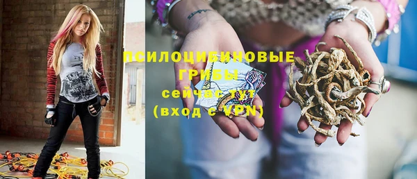 ГАЛЛЮЦИНОГЕННЫЕ ГРИБЫ Балабаново