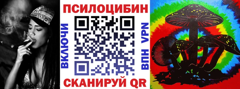 Псилоцибиновые грибы Psilocybe  Онега 